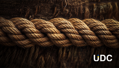 Cords photo